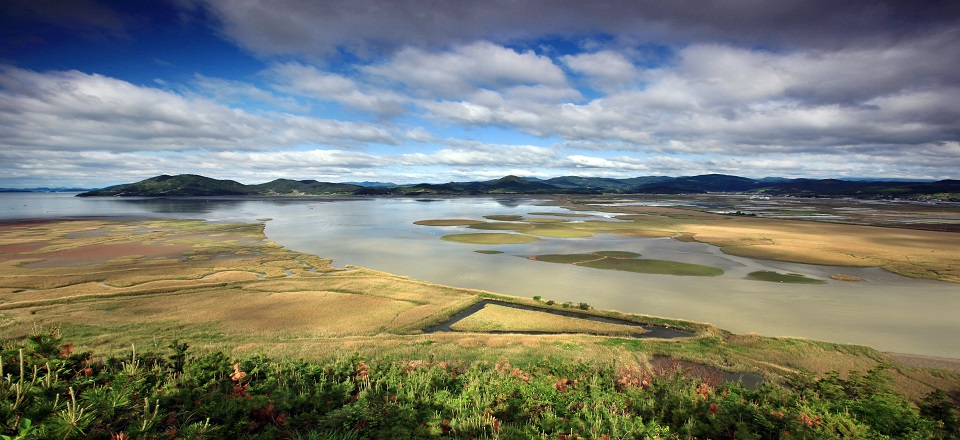 Suncheonman Bay